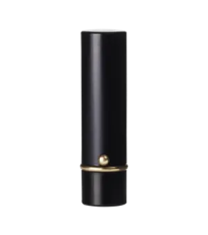 LIPSTICKS CASE