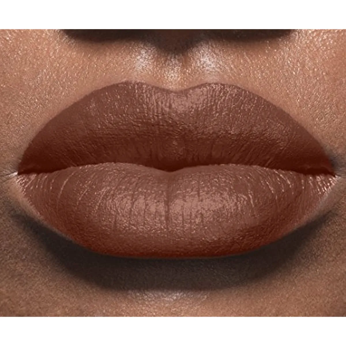 LOreal Paris Color Riche Magnetic Stones Matte Lipstick