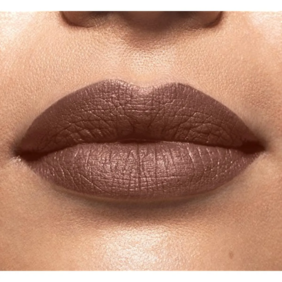 LOreal Paris Color Riche Magnetic Stones Matte Lipstick